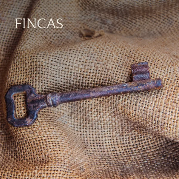 Fincas
