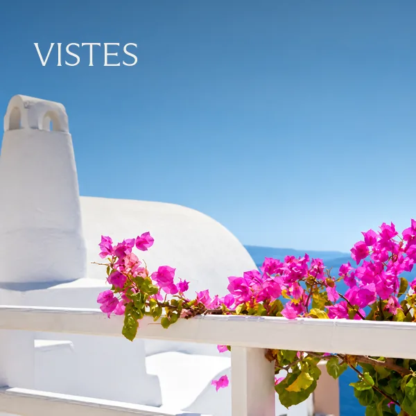 Vistes