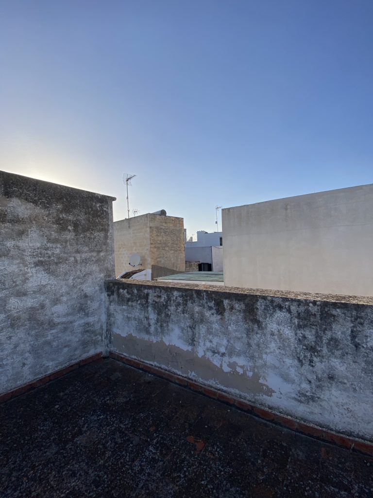 IMG_5487